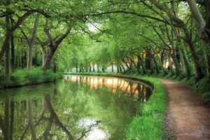 canal-du-midi canal-du-midi