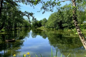 private-lake private-lake